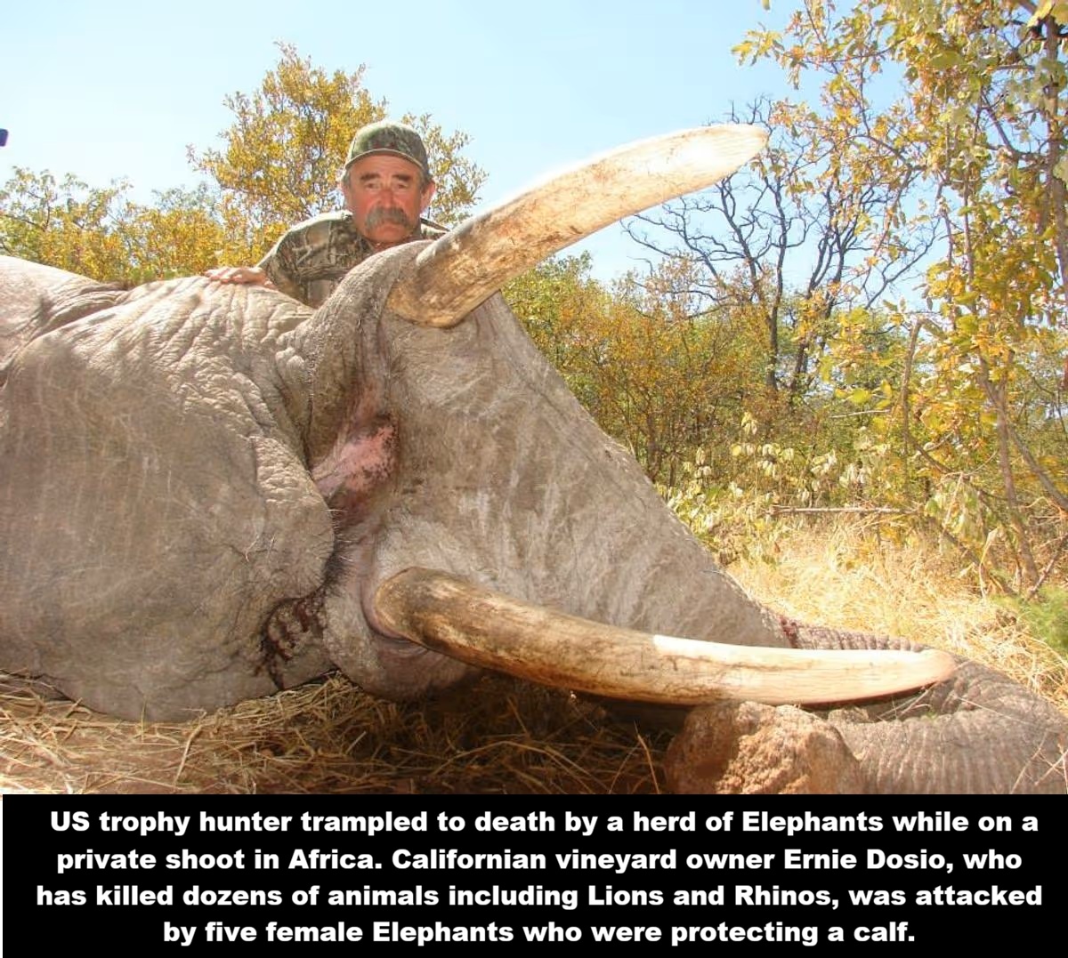 PROTECT ALL WILDLIFE tweet media