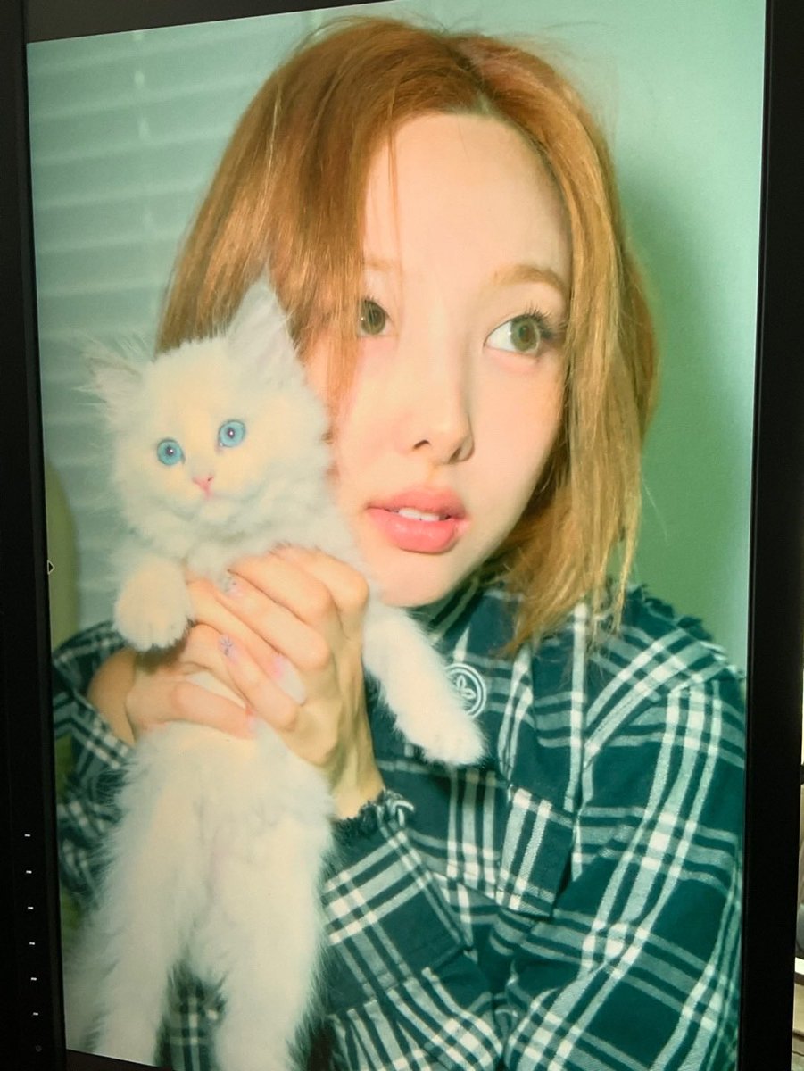 쿠크다스 tweet media