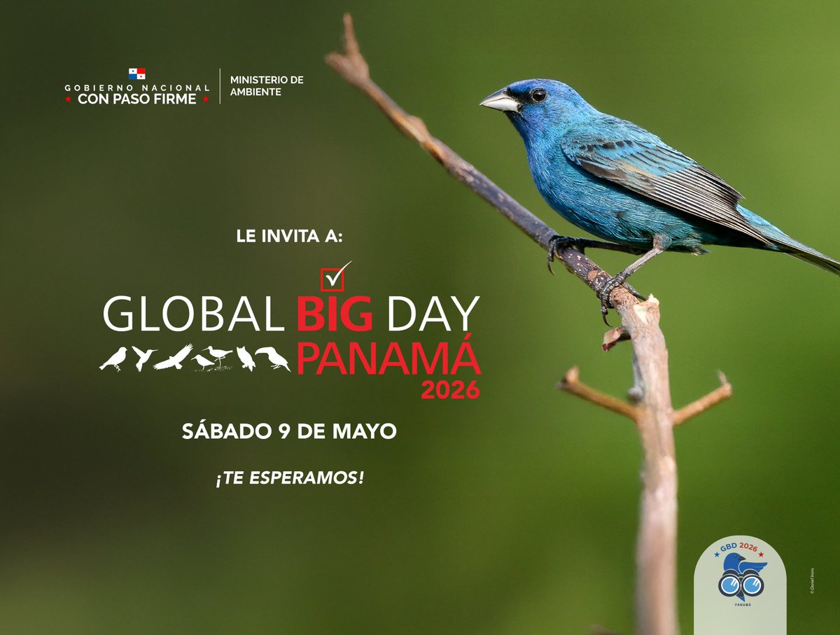 Boquete se alista para el Global Big Day 2026 de observación de aves