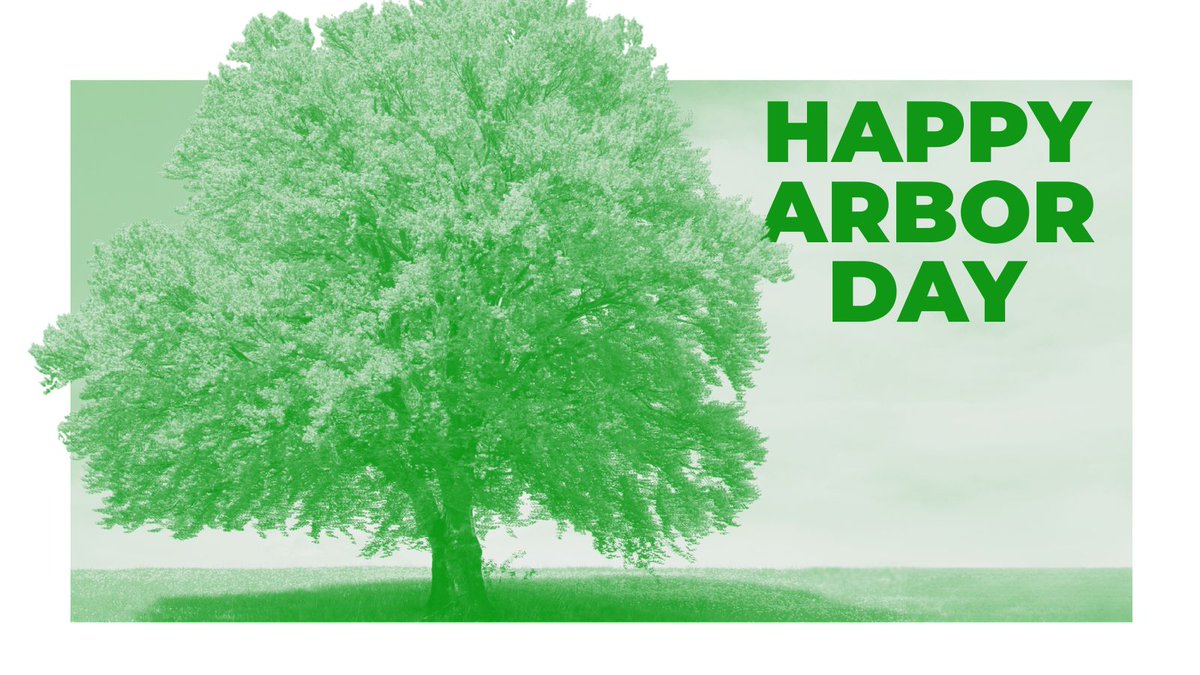 MIAttyGen's tweet image. It’s #ArborDay, when we celebrate trees &amp;amp; empower planting protects around the globe. Trees are important for the health &amp;amp; well-being of our communities. Plant or nurture one today. Or attend a Michigan Arbor Day event. #SustainableFuture   bit.ly/4sUgXNC