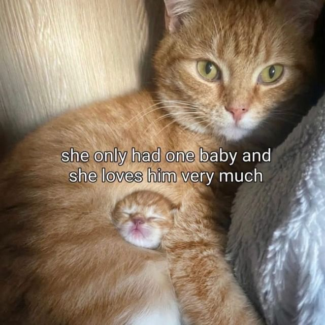 let’s sleep peacefully with mama
