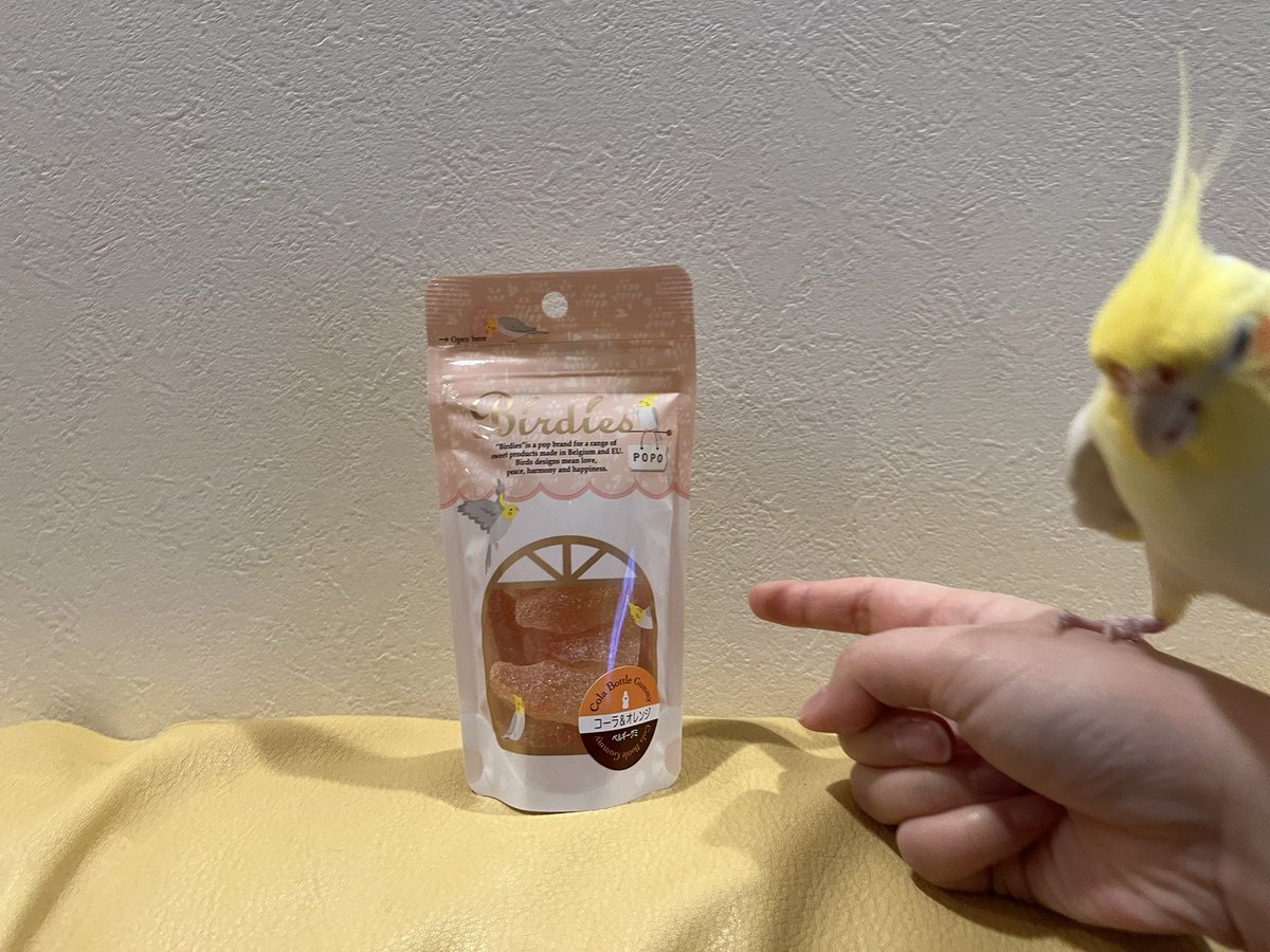 wbs_yj's tweet photo. パケ買いしたグミと並んで欲しいのに、得体の知れないﾌﾟﾗｯﾁｯｸの袋にびびってキレる鳥 https://t.co/Cymmp7tND4