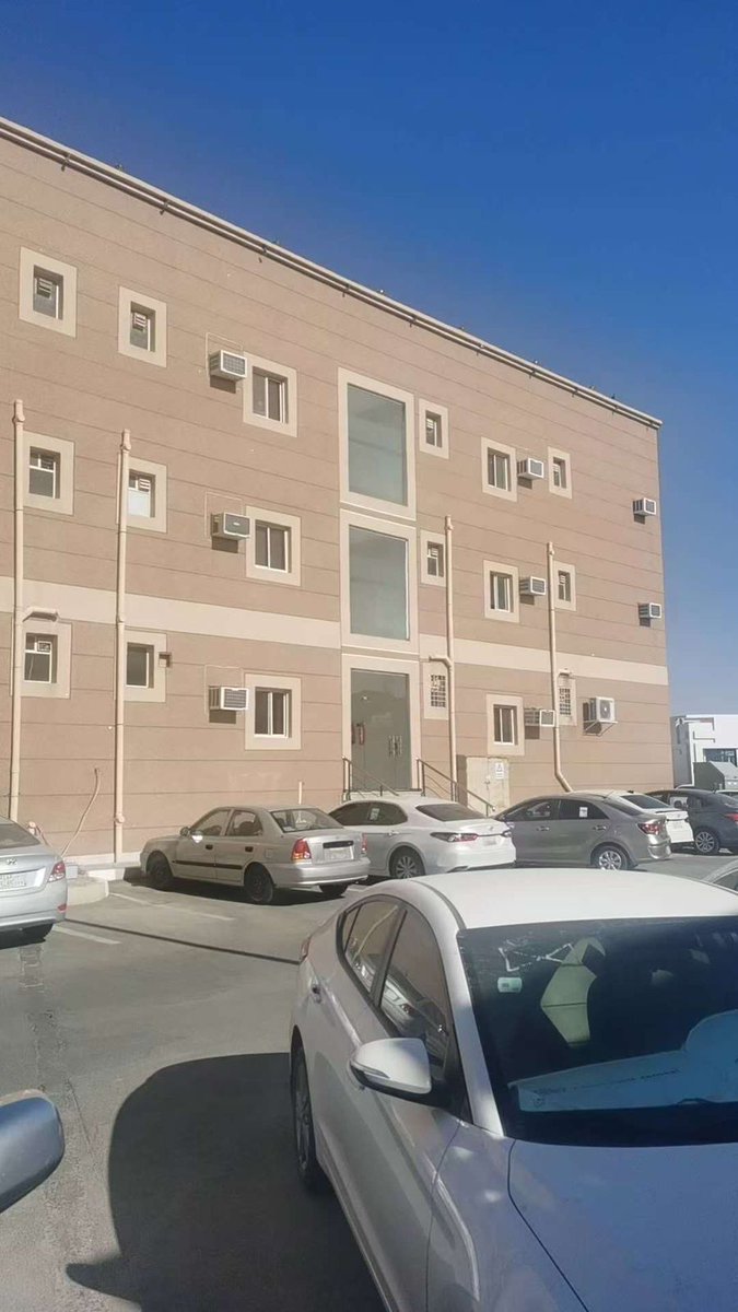 Brandy Mack tweet media