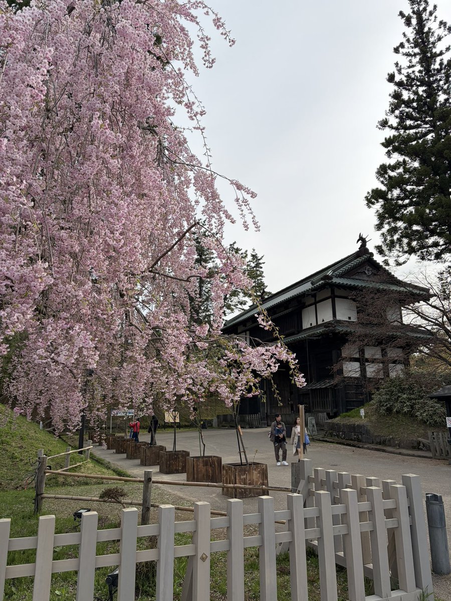 おとう tweet media