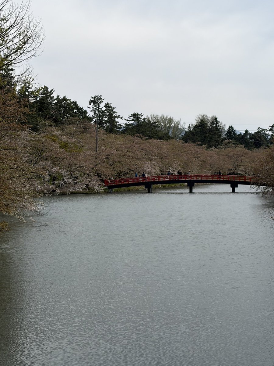 おとう tweet media