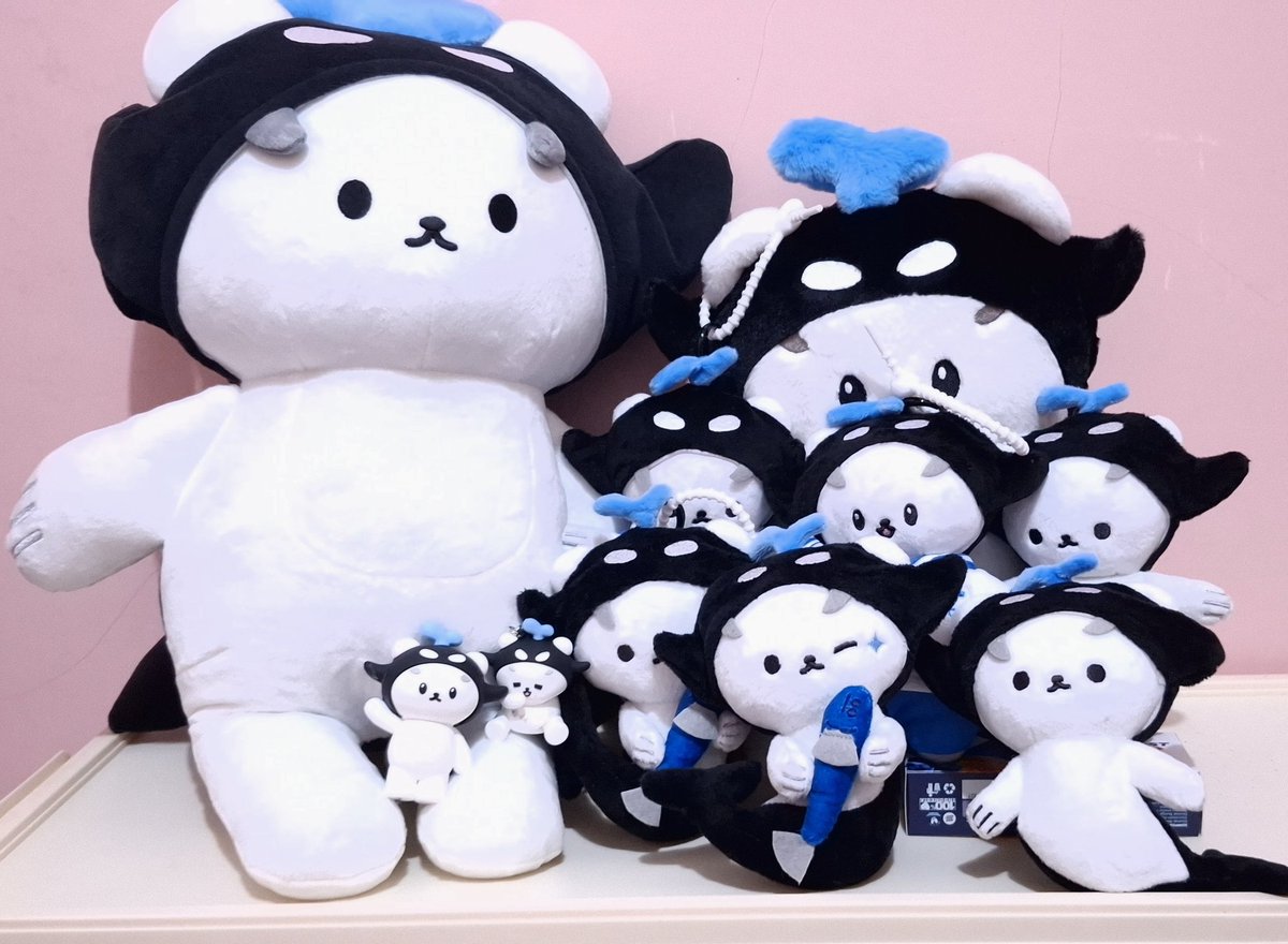 Sall🫍🐻‍❄️ tweet media