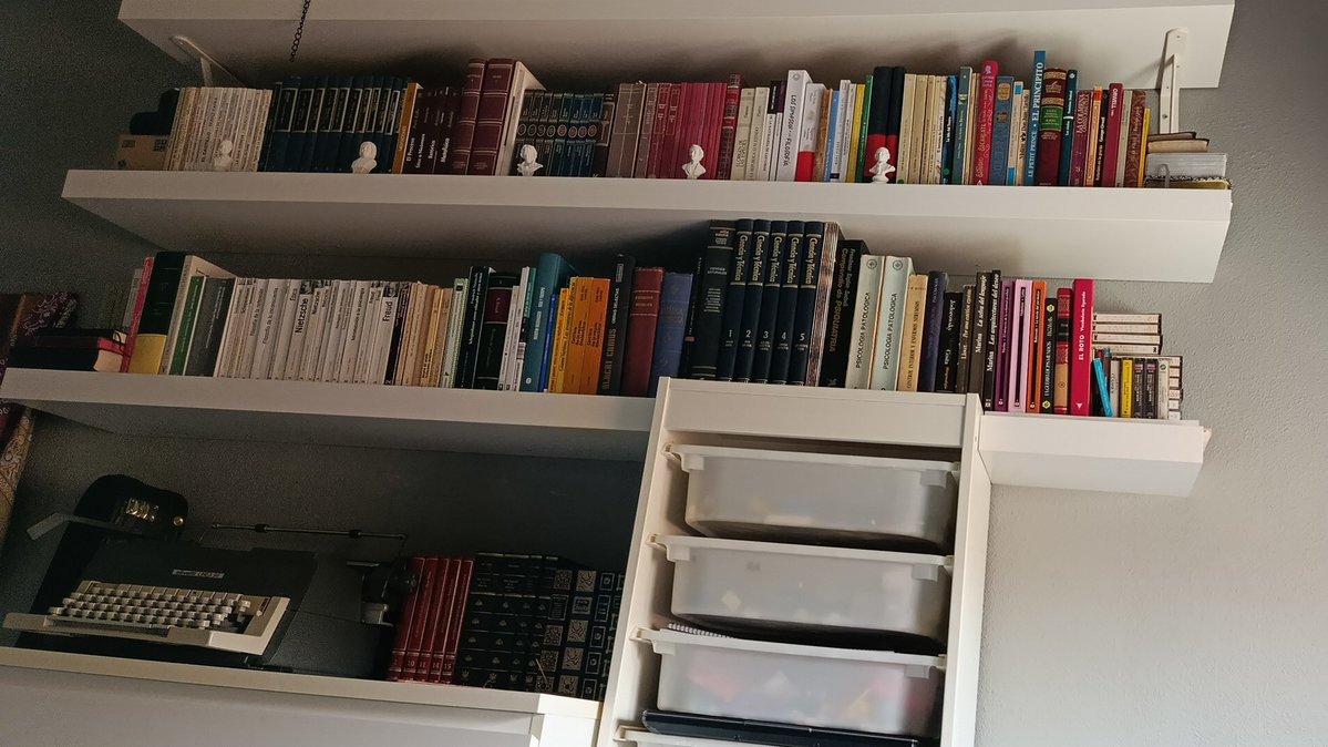 Finalmente, cometí el pecado fetichista de ordenar mi biblioteca por estética y no por orden cronológico de autores (como antes).