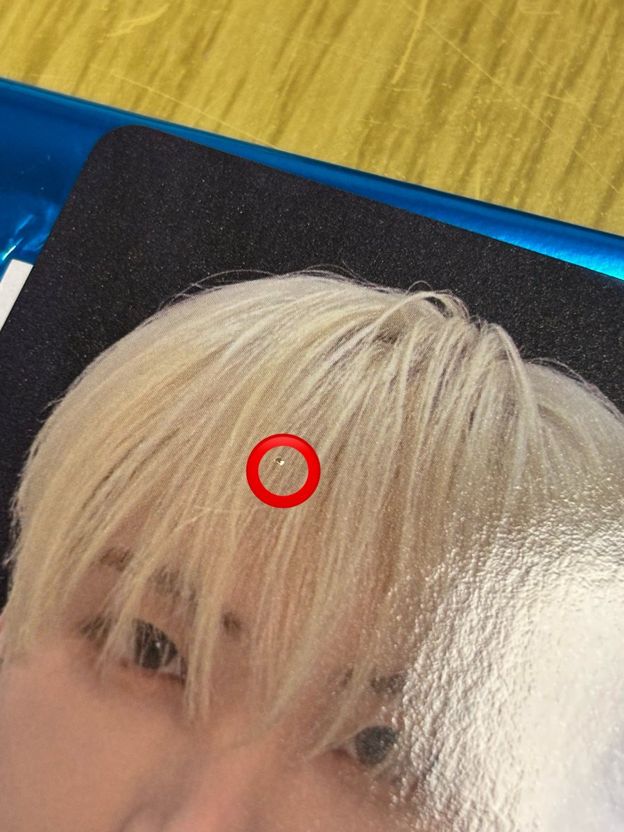 Cocolu.NÉ🐾 tweet media