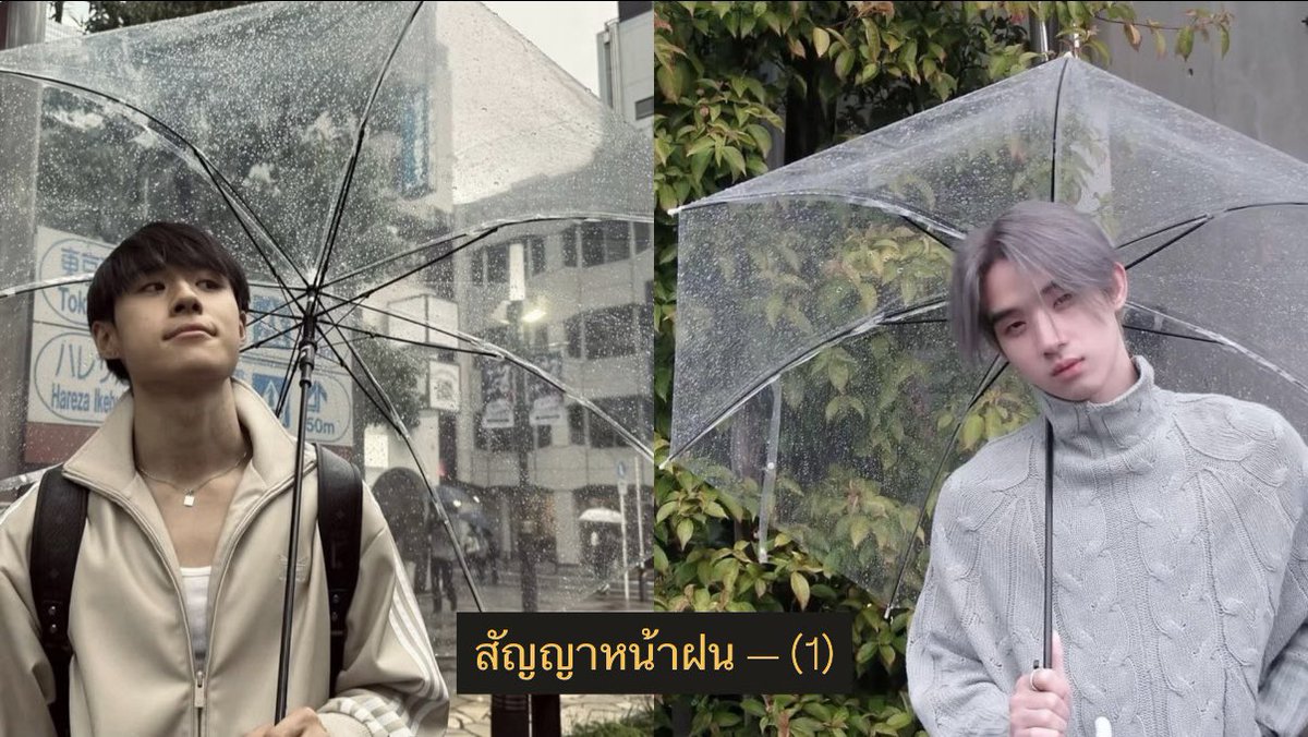 sspiika's tweet photo. นามปากกา cO2 — #ขอภพรักนฮ 🌧️🌳

— สัญญาหน้าฝน (1)
— สัญญากาสะลอง (2)
— ใจรัก (3) 
— เล่นของสูง (4)
— กุหลาบเวียงพิงค์ (5)
— คิดถึงฉันไหมเวลาที่เธอ (6)
— จอมขวัญ (7)
— เชื่อฉัน (8)
— ยายสำอาง (9)
— ทาสมนต์คนดี (10)
— ดั่งฝันฉันใด (11)
— Rain zone (12)
— รักไม่รู้ดับ (13)
— รักแรกพบ (14)
— รางวัลแด่คนช่างฝัน (15)
— เจ้าช่อมาลี (16)
— sexy (17) 
— หมากัด (18)
— กลัวว่าฉันจะไม่เสียใจ (19) 
— ศักดิ์เอ๋ย (20)
— จีบ (21)
— คู่ชีวิต (22)
— กระแซะเข้ามาสิ (23)
— (24) ปิดจบด้วยเพลงอะไรก็ได้ 
ด้วยความรู้สึกของทุกคนเลยนะ 🤍

⭐️ https://t.co/3eMbBYV5oI

ฝากทุกคนกลับมาฟังเพลย์ลิสต์นี้ด้วยนะ
ฝนตกแล้ว แล้วพบกันใหม่นะ — ขอ(ภพ)รัก 🌧️🪷