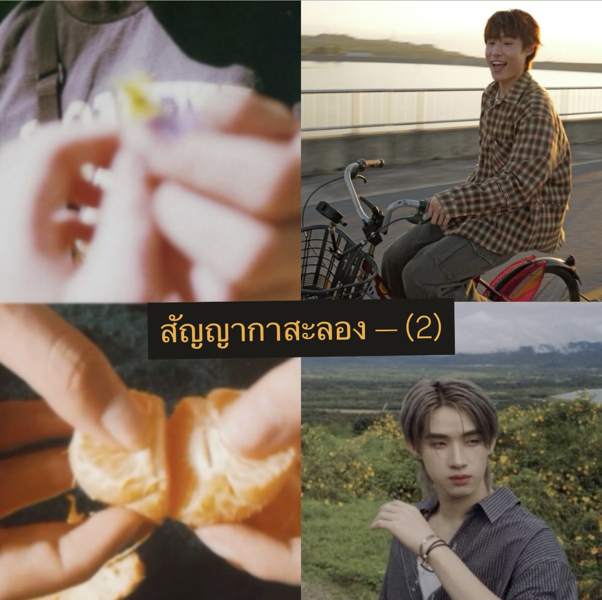 sspiika's tweet photo. นามปากกา cO2 — #ขอภพรักนฮ 🌧️🌳

— สัญญาหน้าฝน (1)
— สัญญากาสะลอง (2)
— ใจรัก (3) 
— เล่นของสูง (4)
— กุหลาบเวียงพิงค์ (5)
— คิดถึงฉันไหมเวลาที่เธอ (6)
— จอมขวัญ (7)
— เชื่อฉัน (8)
— ยายสำอาง (9)
— ทาสมนต์คนดี (10)
— ดั่งฝันฉันใด (11)
— Rain zone (12)
— รักไม่รู้ดับ (13)
— รักแรกพบ (14)
— รางวัลแด่คนช่างฝัน (15)
— เจ้าช่อมาลี (16)
— sexy (17) 
— หมากัด (18)
— กลัวว่าฉันจะไม่เสียใจ (19) 
— ศักดิ์เอ๋ย (20)
— จีบ (21)
— คู่ชีวิต (22)
— กระแซะเข้ามาสิ (23)
— (24) ปิดจบด้วยเพลงอะไรก็ได้ 
ด้วยความรู้สึกของทุกคนเลยนะ 🤍

⭐️ https://t.co/3eMbBYV5oI

ฝากทุกคนกลับมาฟังเพลย์ลิสต์นี้ด้วยนะ
ฝนตกแล้ว แล้วพบกันใหม่นะ — ขอ(ภพ)รัก 🌧️🪷