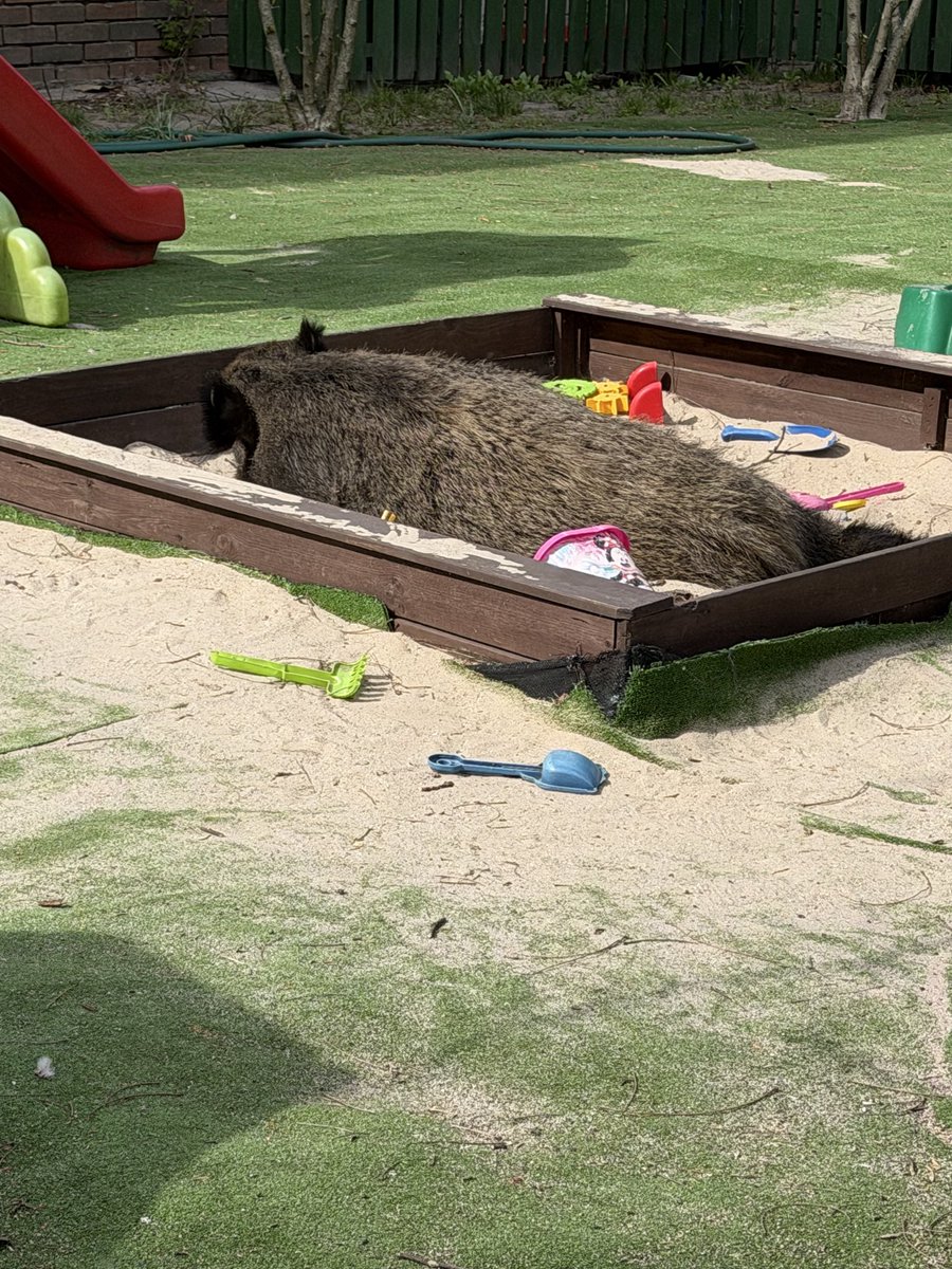 *Magdalena ✌🏻🇵🇱 🇪🇺#PięknaPomadka💋 tweet media