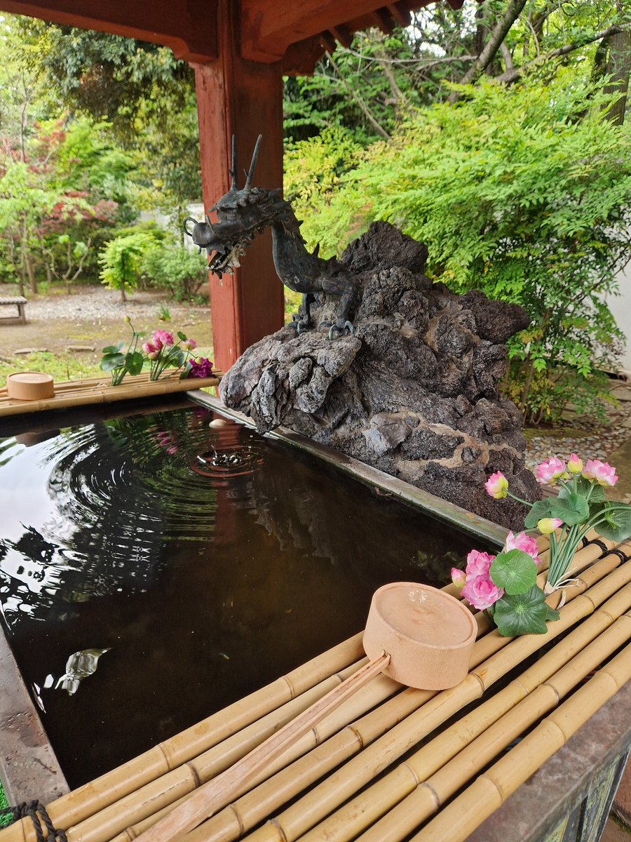ailecvazz's tweet photo. Día once - Tokio ⛩️🐲 https://t.co/rR2wKuY4JQ