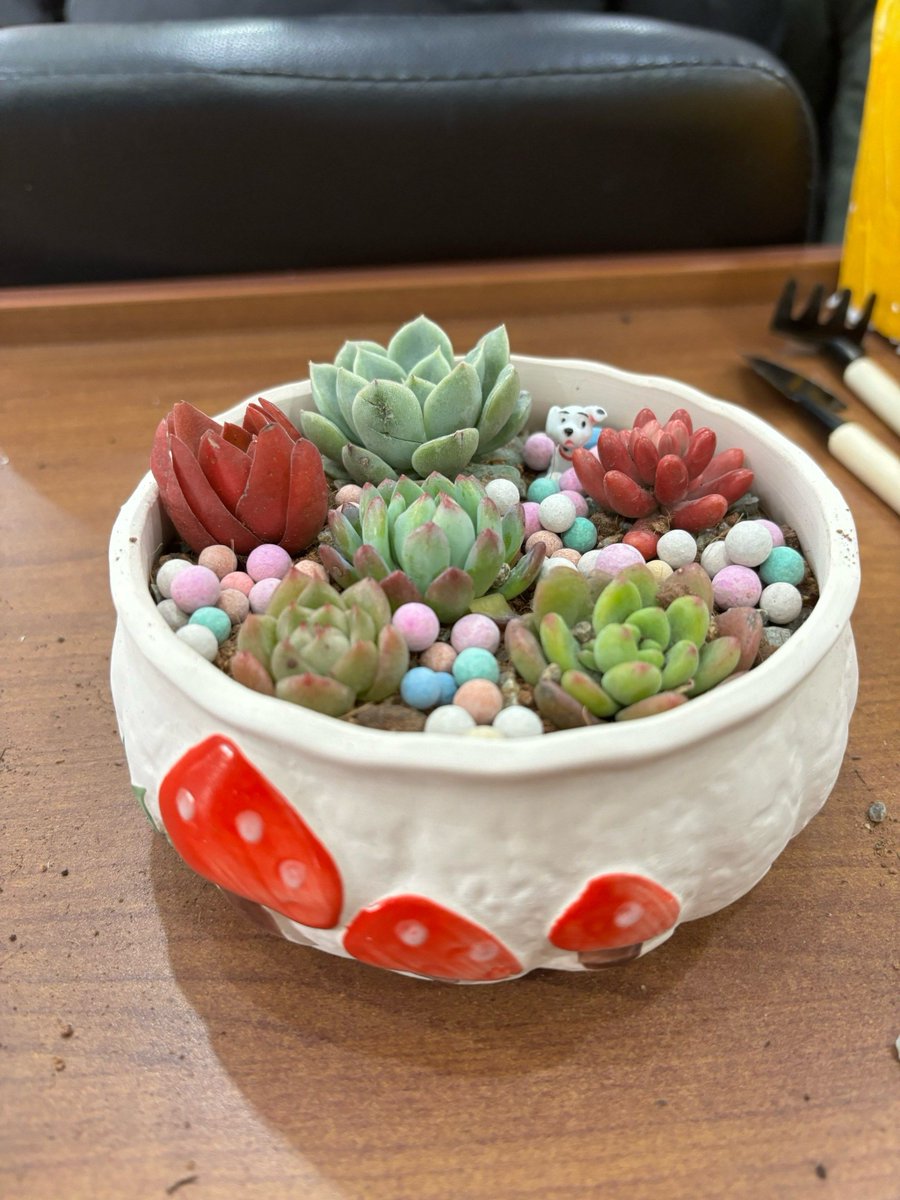 Marcelo gomes tweet media