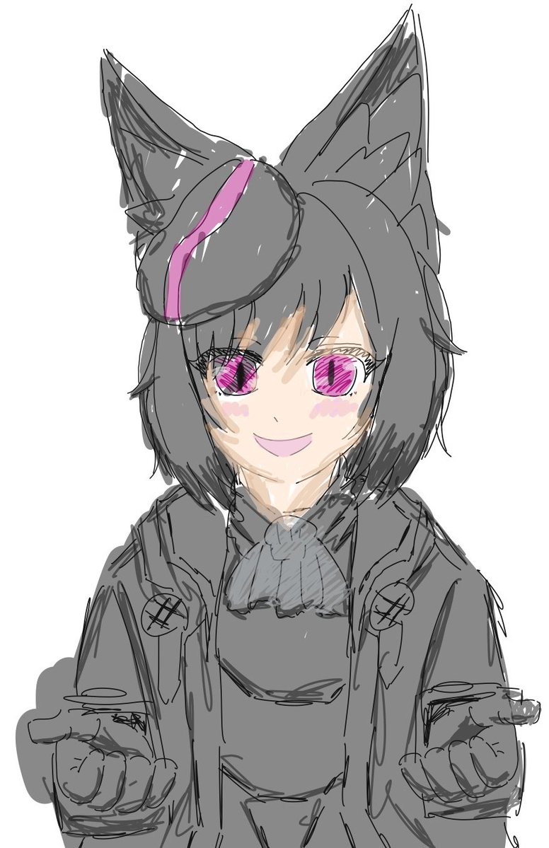 トラッコリー tweet media