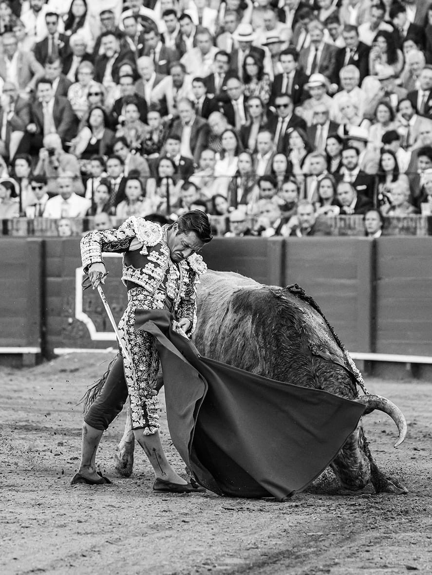 Diego Urdiales tweet media