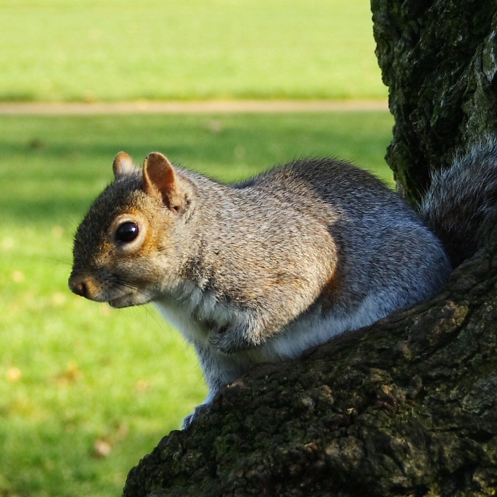 David Drayton tweet media