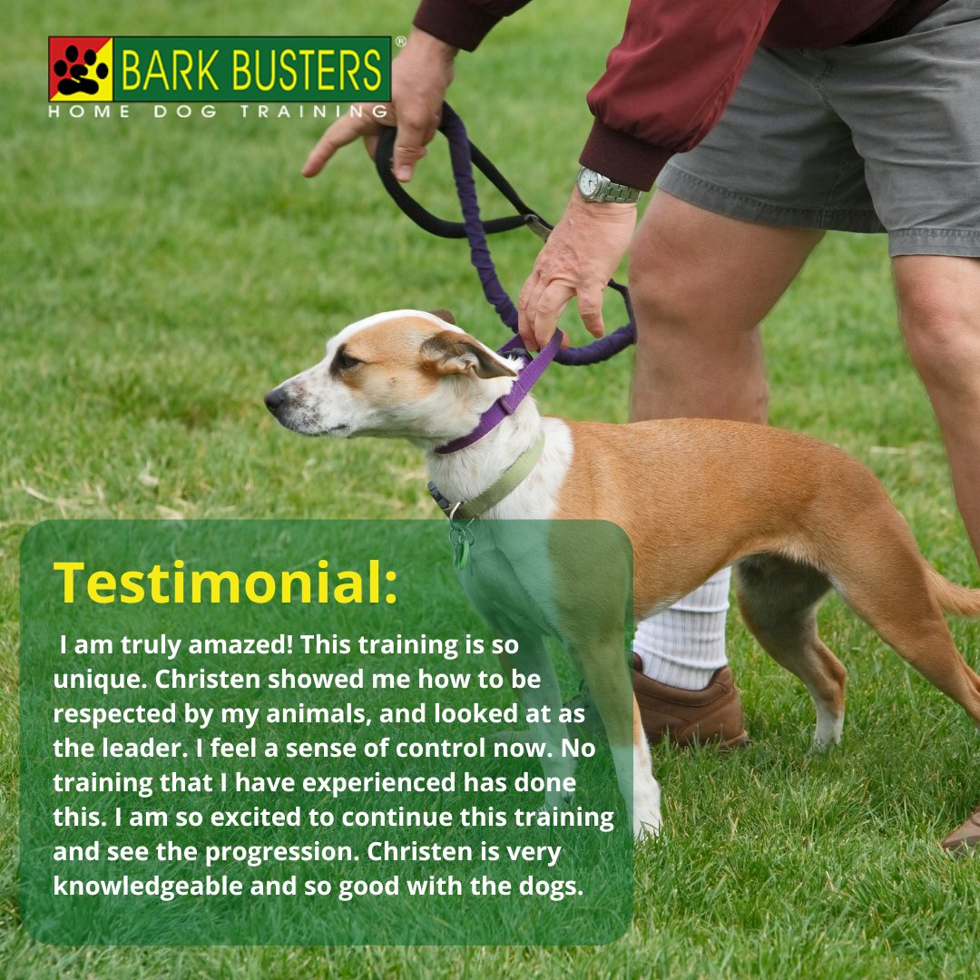 barkbusterla's tweet image. From barking and jumping to anxiety and aggression, Bark Busters'  proven methods create calm, confident dogs—and happier homes

barkbusters.com/dog-training-g…

#BarkBustersLA #DogTraining #HappyDogs #DogBehavior #PetParents #CalmDogs