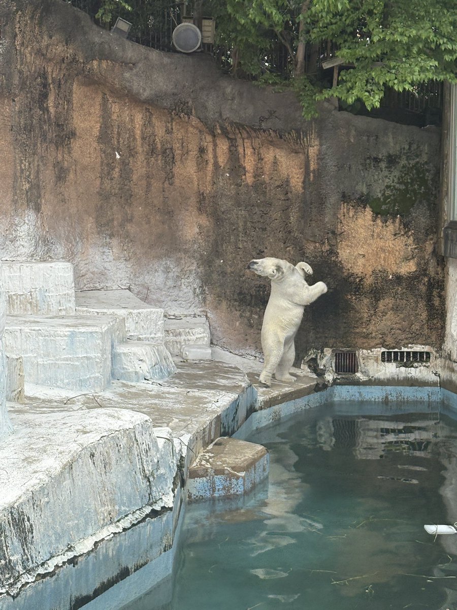 おもしろ動物たち