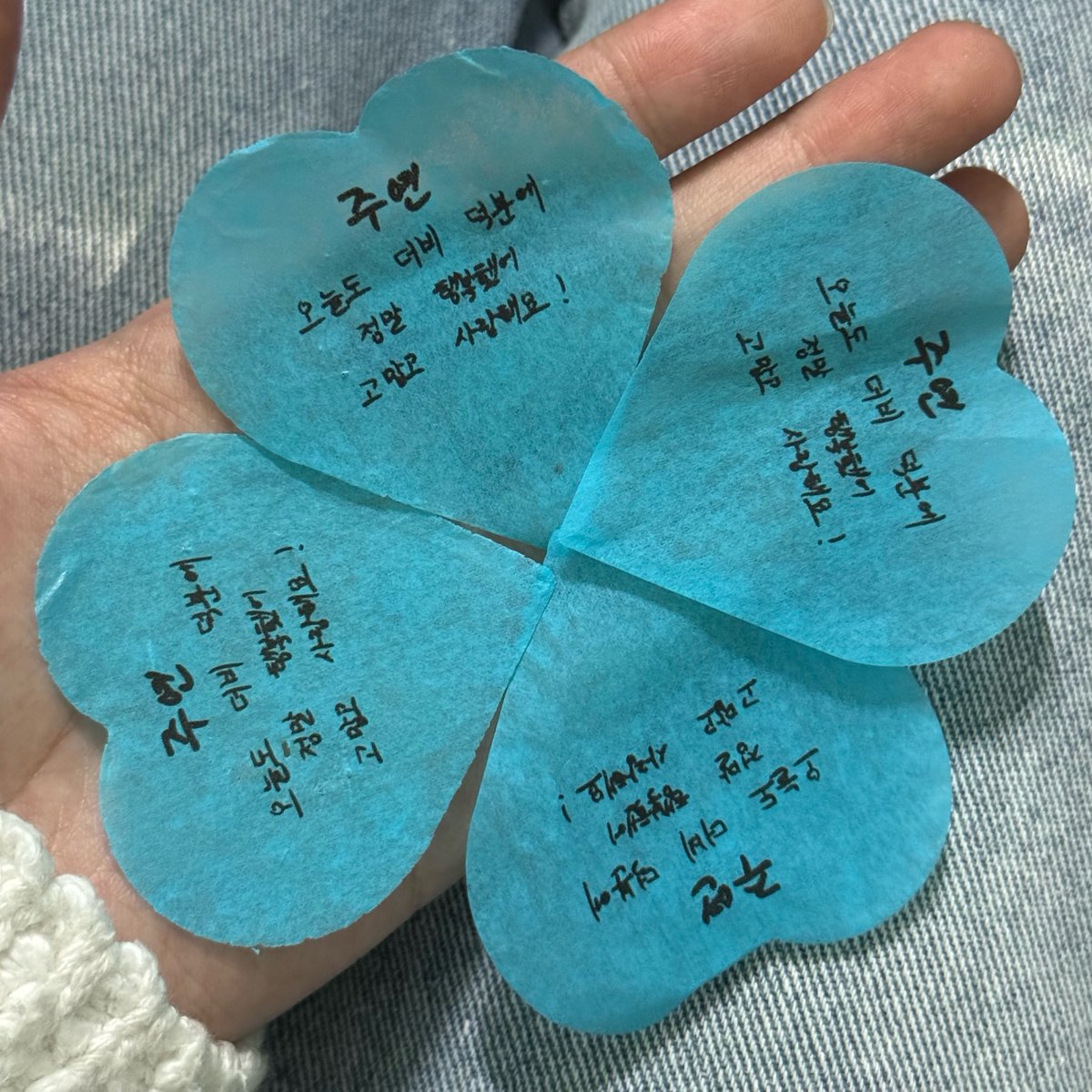 뽀둥 tweet media