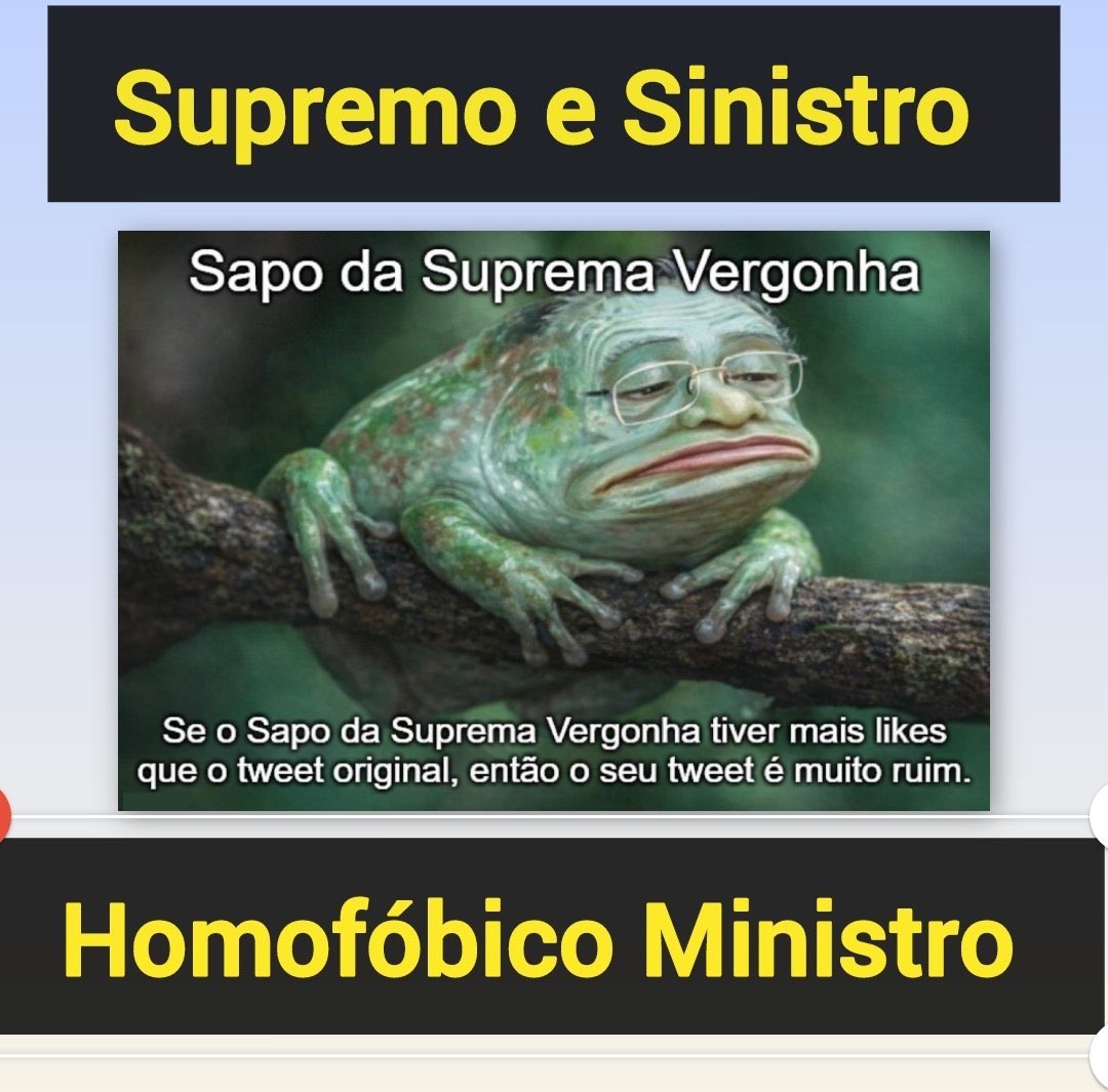 Rafael Fontana tweet media