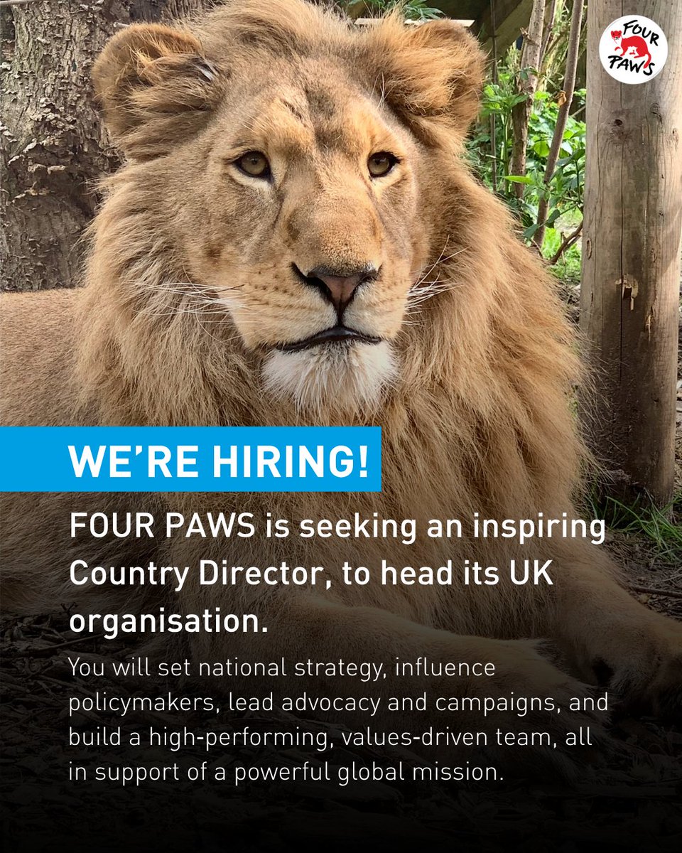 FOUR PAWS UK tweet media