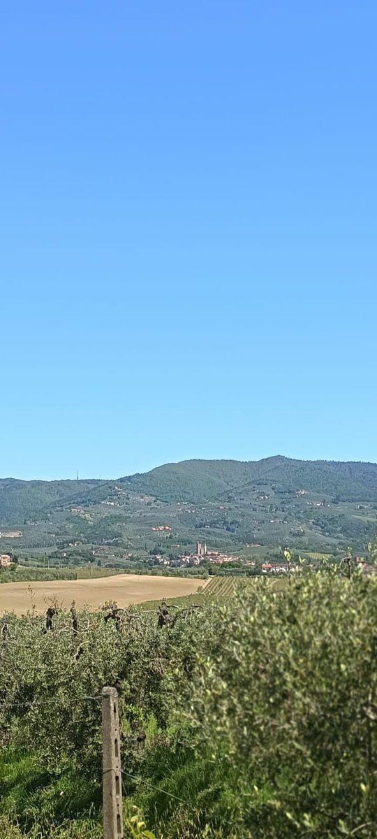 winemakerParisi tweet picture
