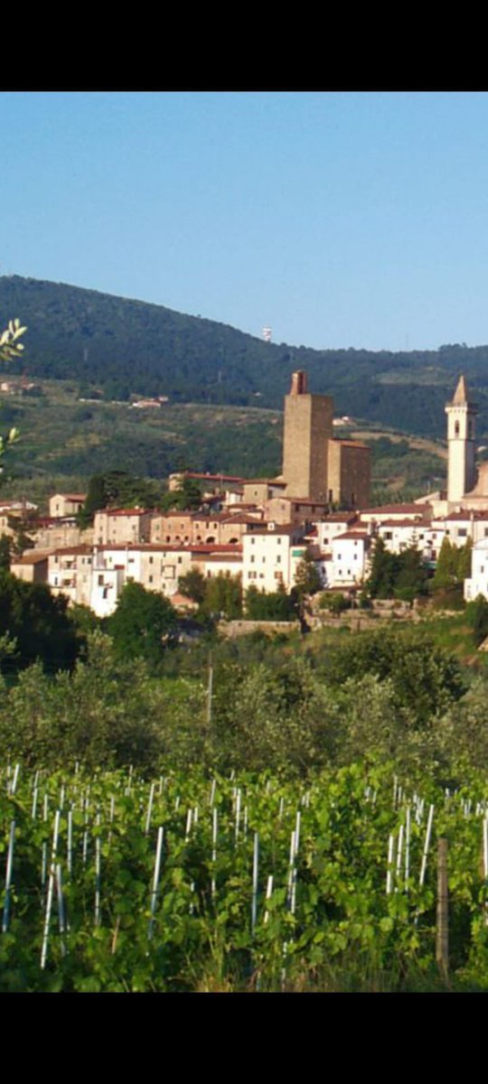 winemakerParisi tweet picture