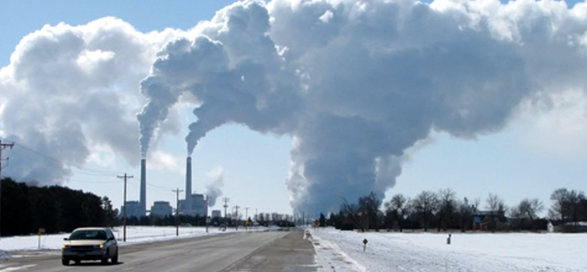 Steve Stammer tweet media