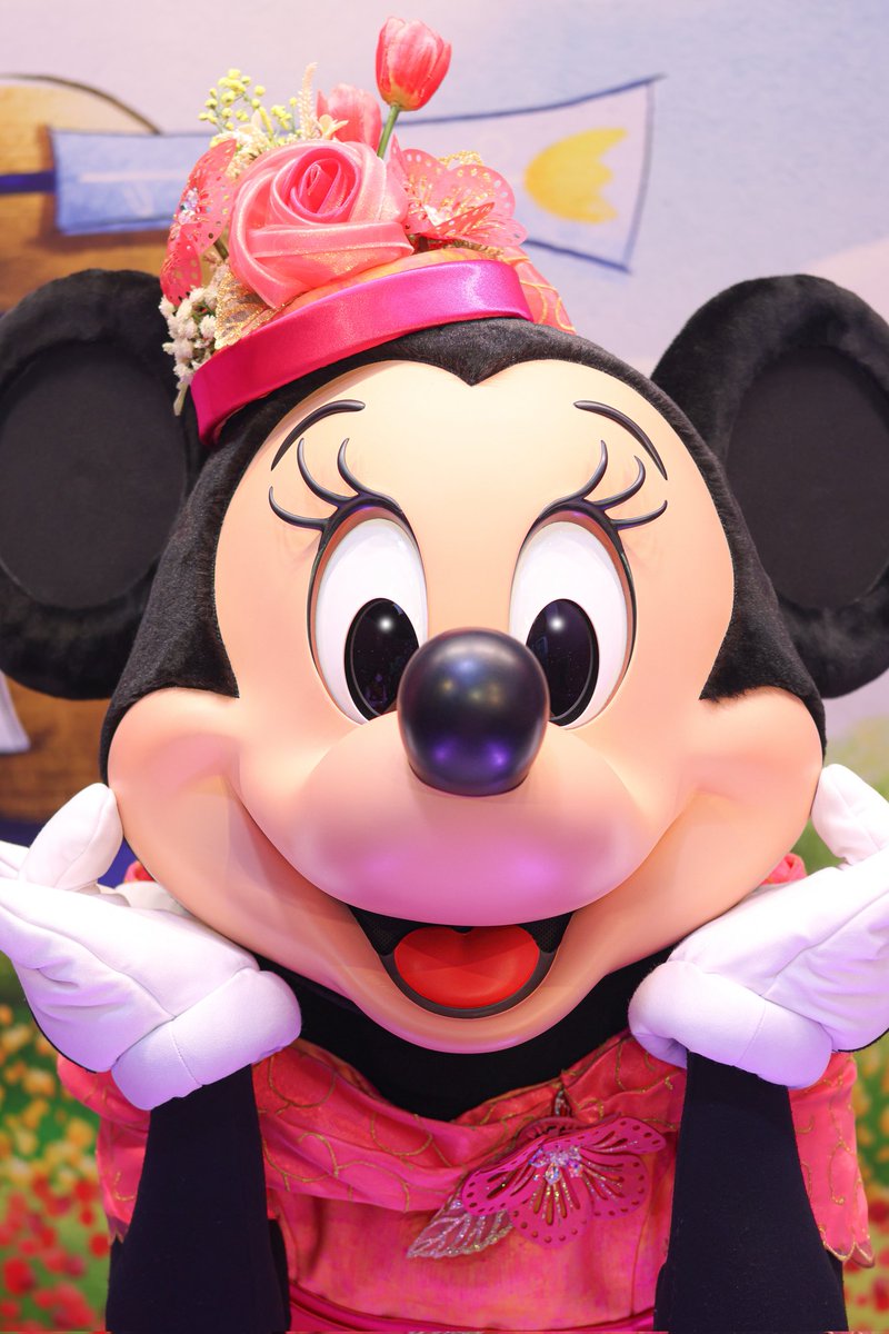 🤍🎀ゆーか🎀🤍@4/30&5/8🌋、5/10&5/19&5/21&5/27&5/31🏰 tweet media