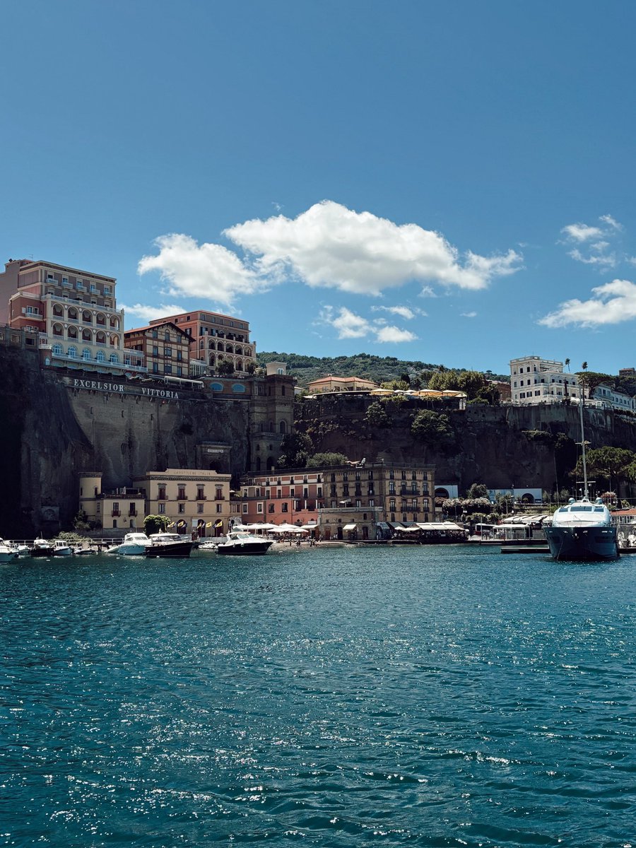 maya ⋆˚꩜｡ tweet media