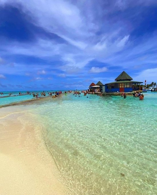 Group Lar Travel tweet media