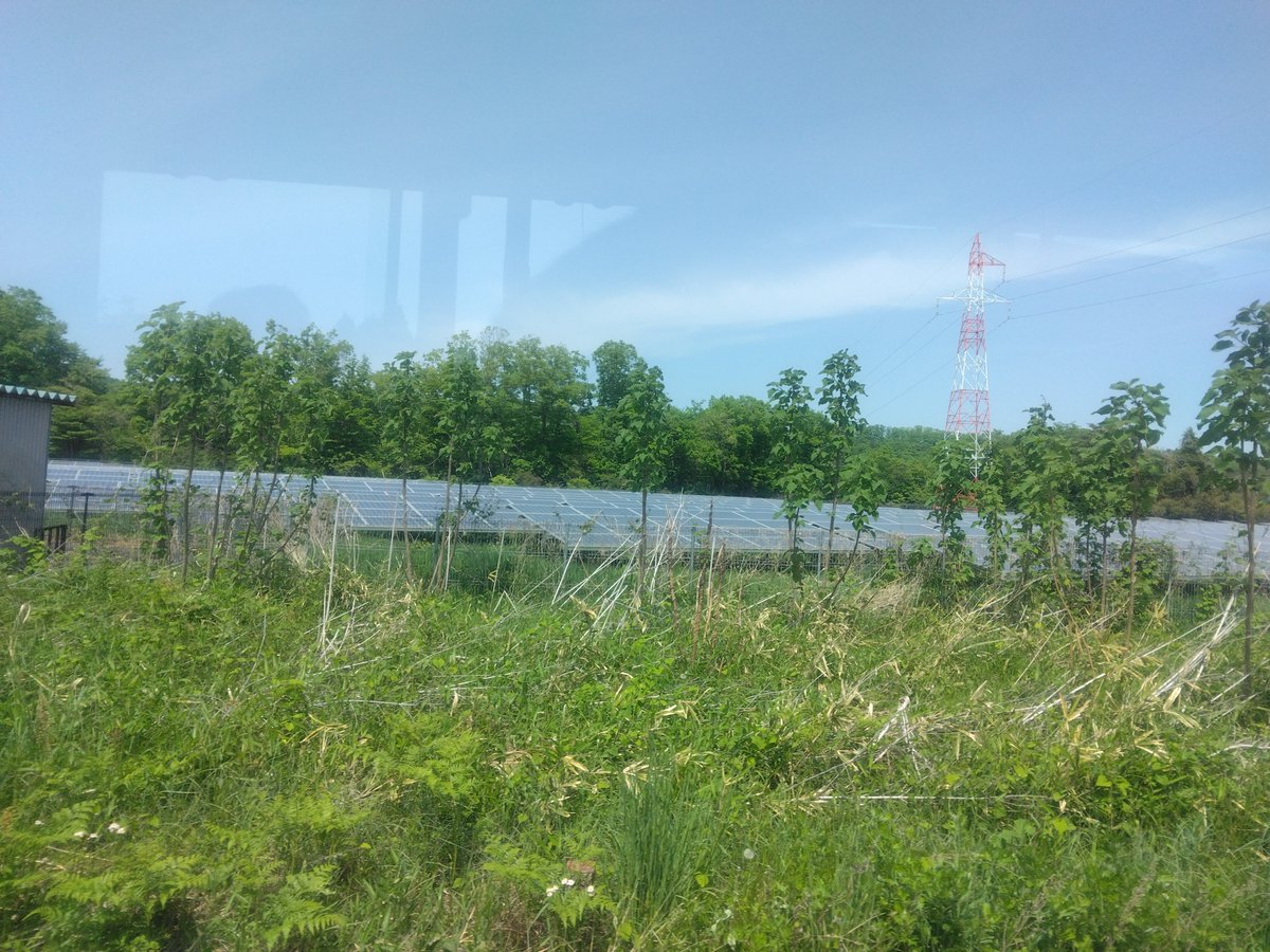 #新緑の季節なので緑の画像を貼る