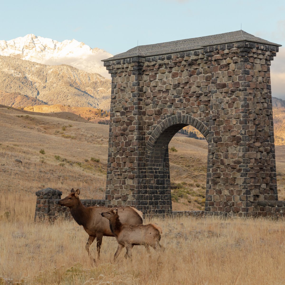 US Department of the Interior tweet media