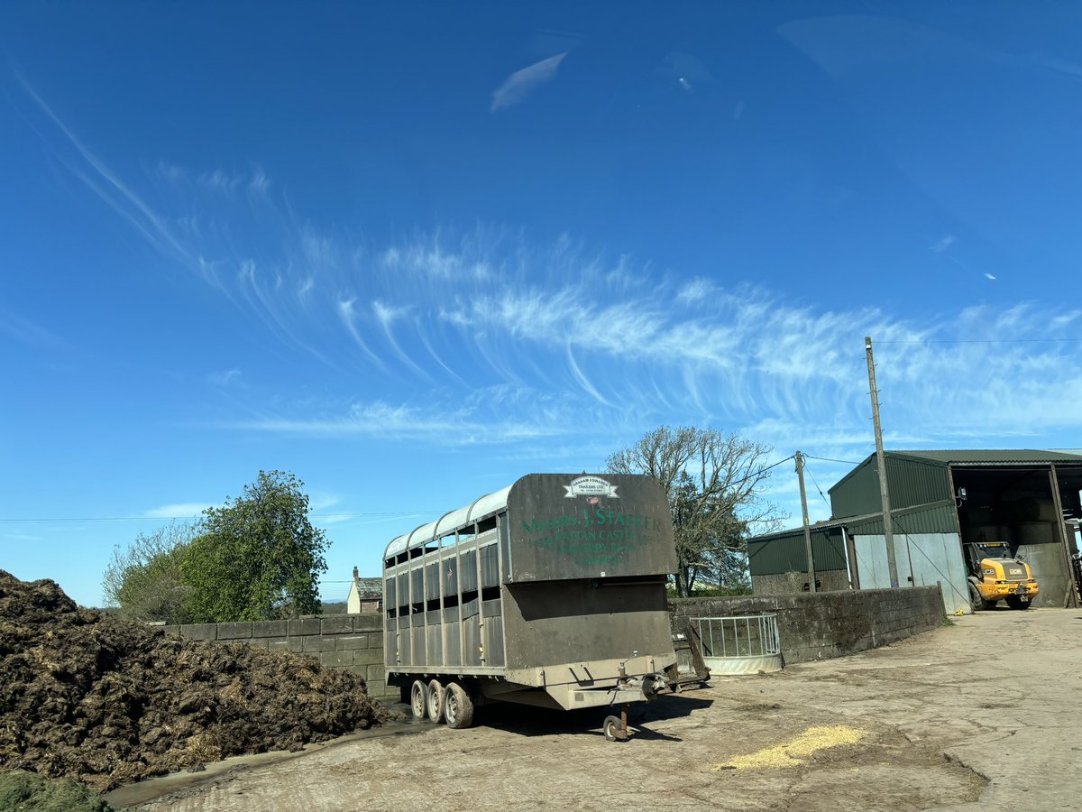 rattycastle's tweet image. #Cloudyday #feathers and #backbones in the sky #Cumbria is basking in 23deg #sunshine