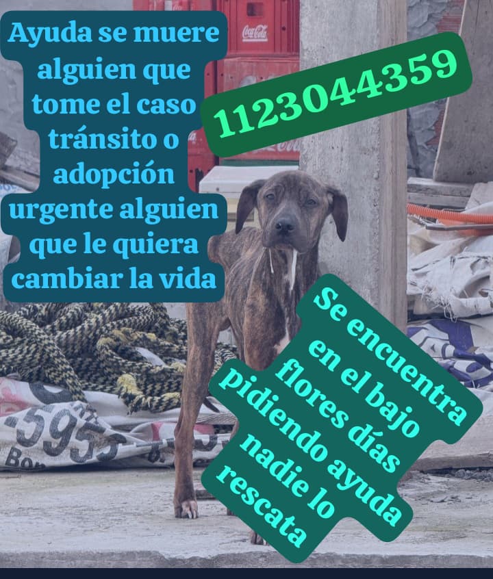 Rt
Urgente