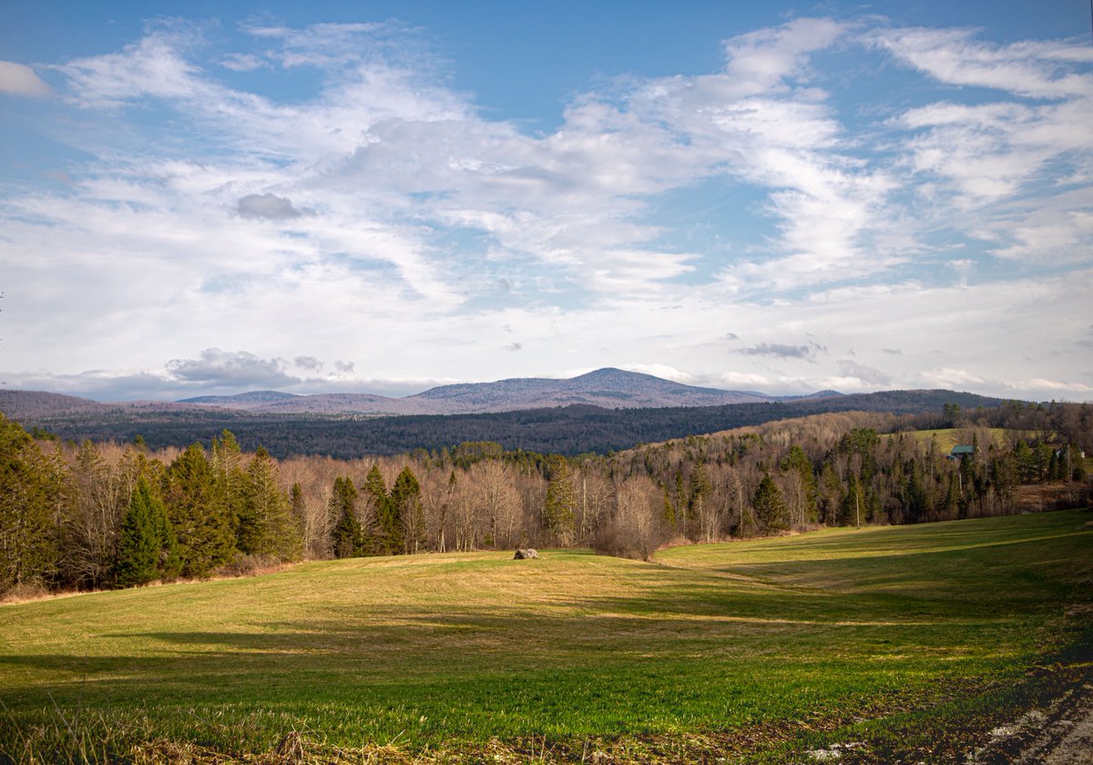 fotogosaurus's tweet image. boulder in the field fotogosaurus.wpcomstaging.com/2026/04/24/bou… #VT #Vermont #NewEngland #Marshfield #Mountains #Landscape #LandscapePhotography #April #clouds #sky #skyScape #fields #rural #forest #moment #lookUp #quiet #Canon #Spring #Boulder #remember #wonder