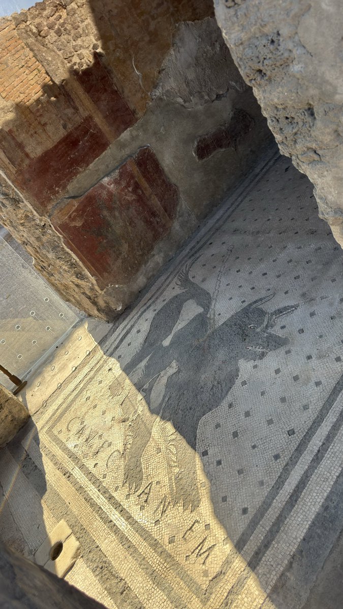 Bárbara Horacek🌸 tweet media