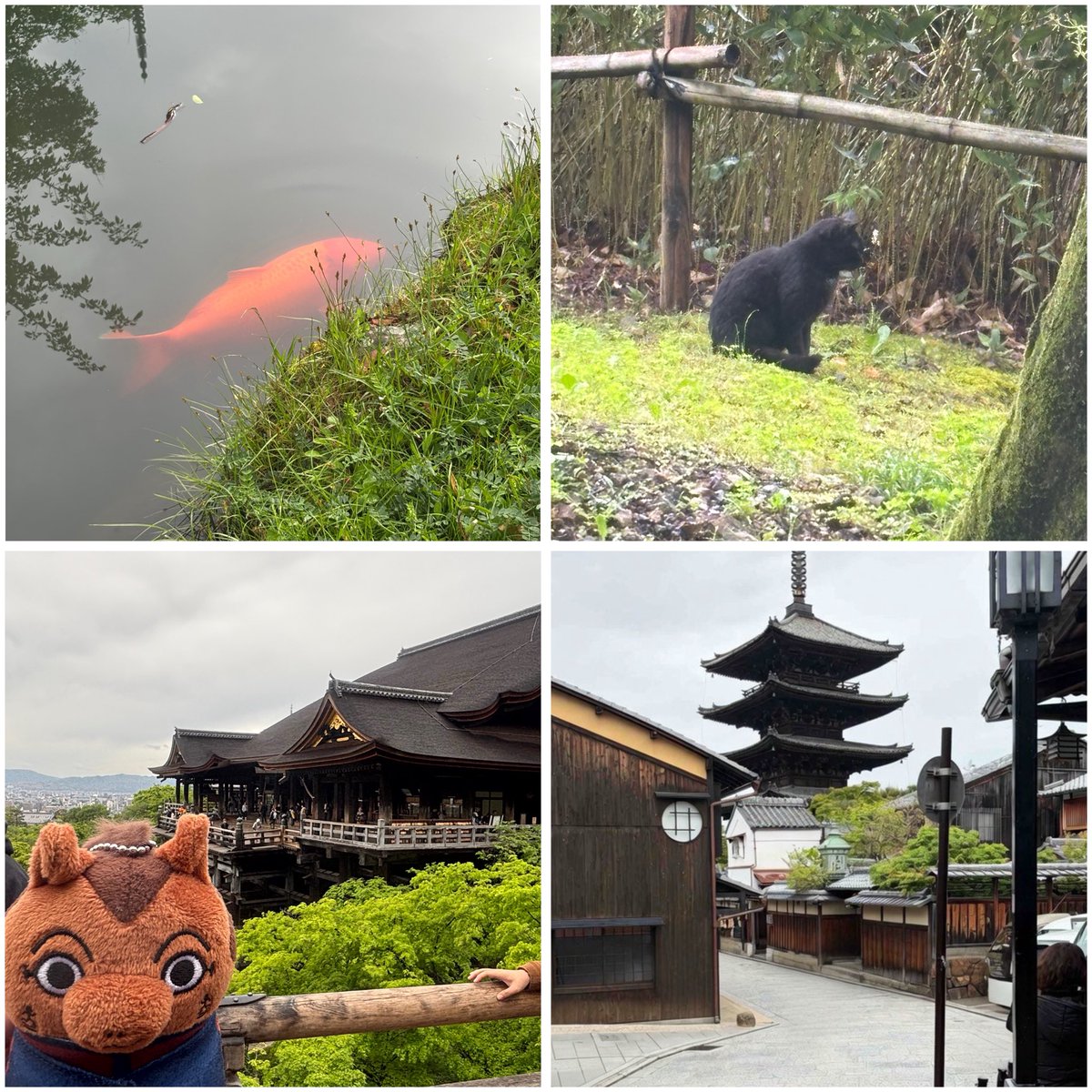 𝐡𝐚𝐫𝐮𝐦𝐚𝐤𝐢 tweet media