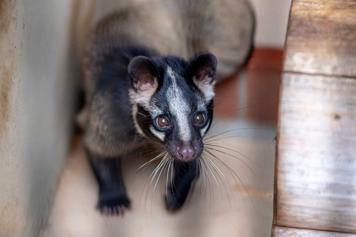 空白寺 tweet media