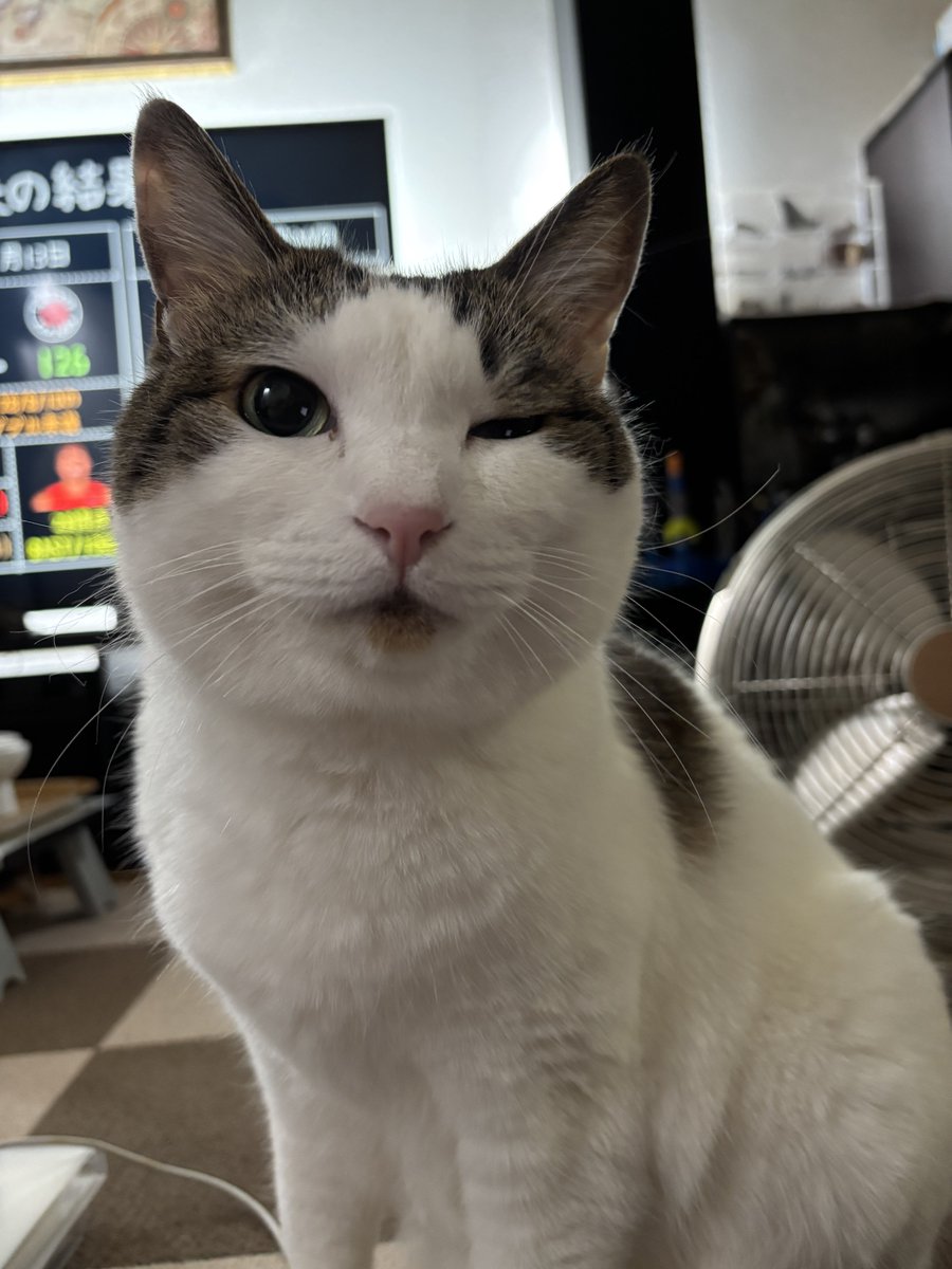 トム田中💉×9✨️ tweet media