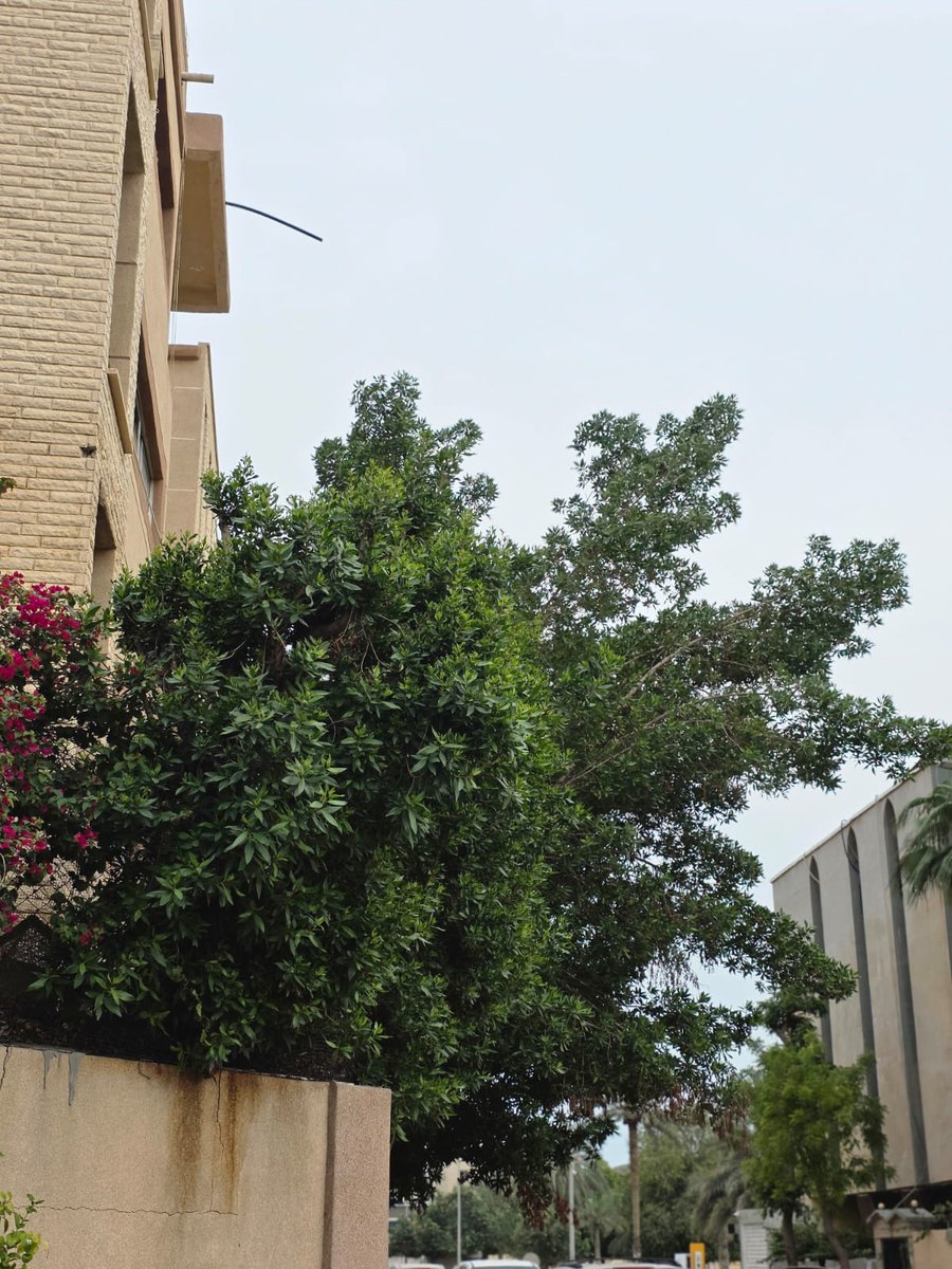 sharpsp's tweet image. Some souls bloom quietly, just like flowers—soft, beautiful, and full of life.
#mood