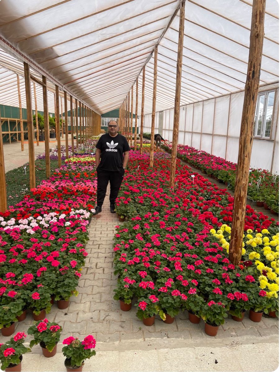 Mehmet Mustafa Gürban tweet media