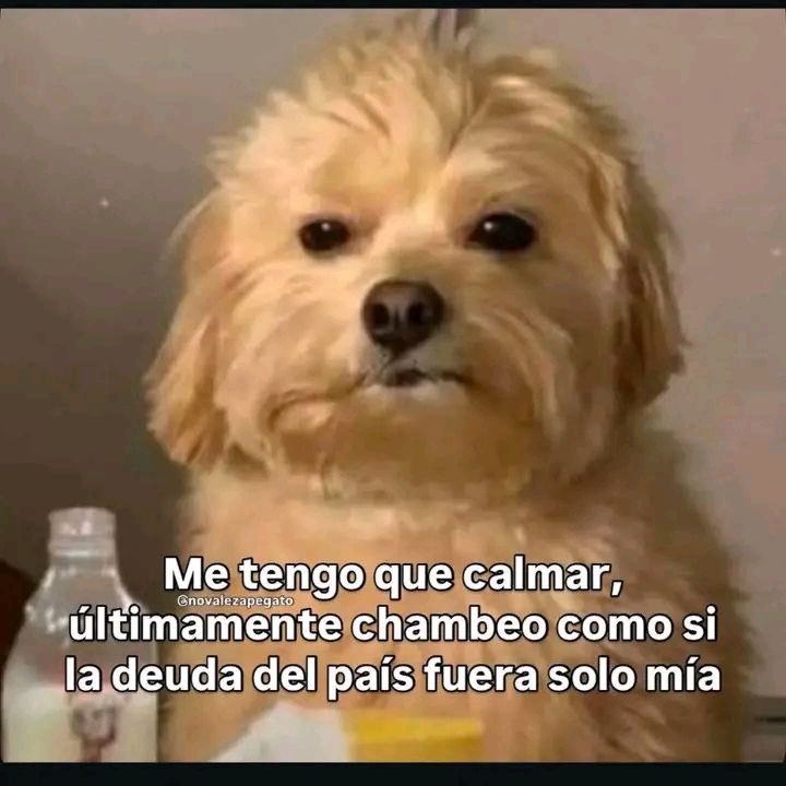 Me tengo que calmar en la chamba.