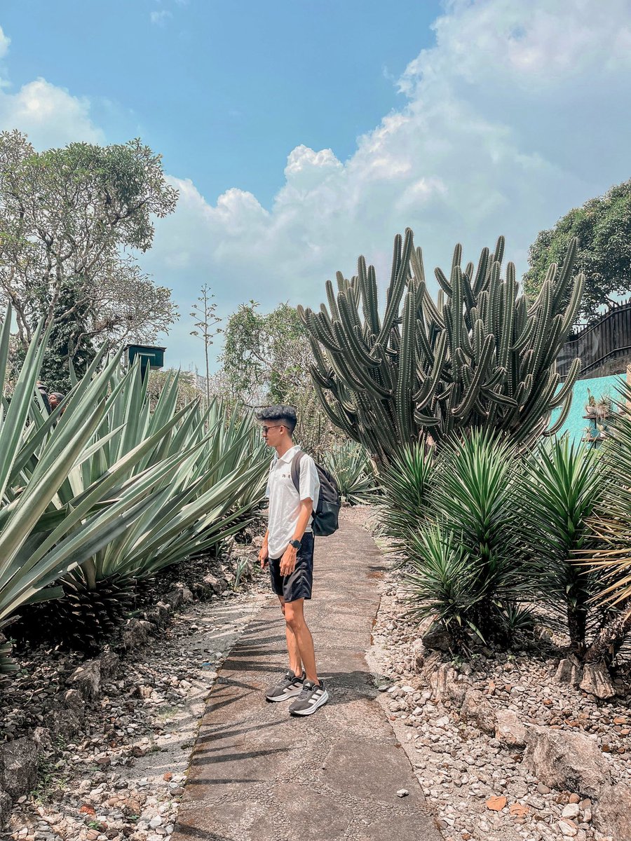 l0neyloser's tweet photo. unplanned stroll at kebun raya bogor, turns out it’s giving main character energy 🌿✨ https://t.co/T4xX7xq683