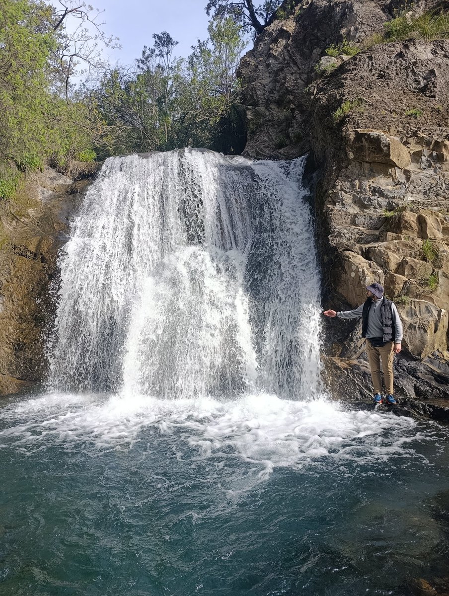 عبد الإله tweet media