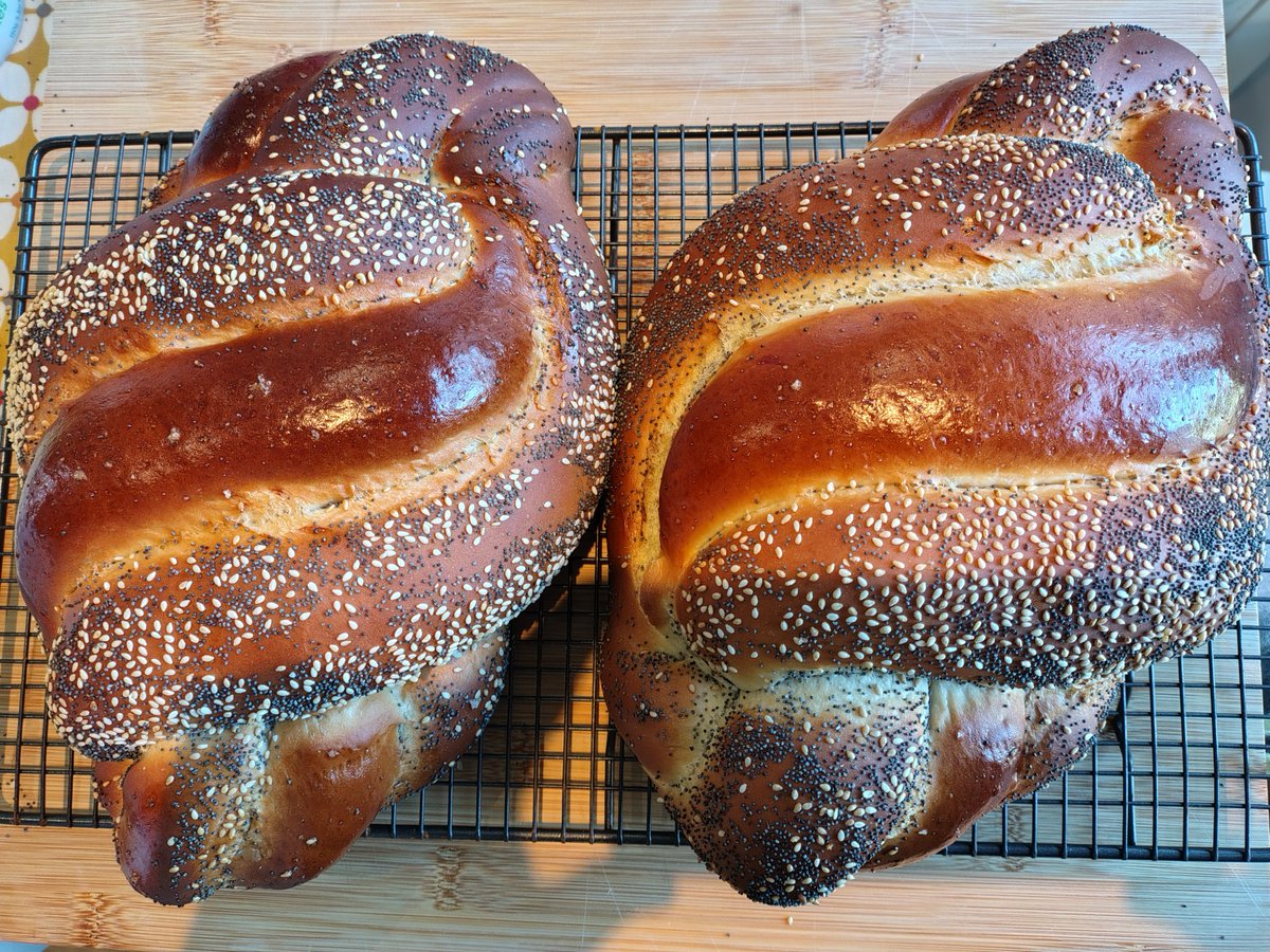 Hannah 🇮🇱 🥑 tweet media