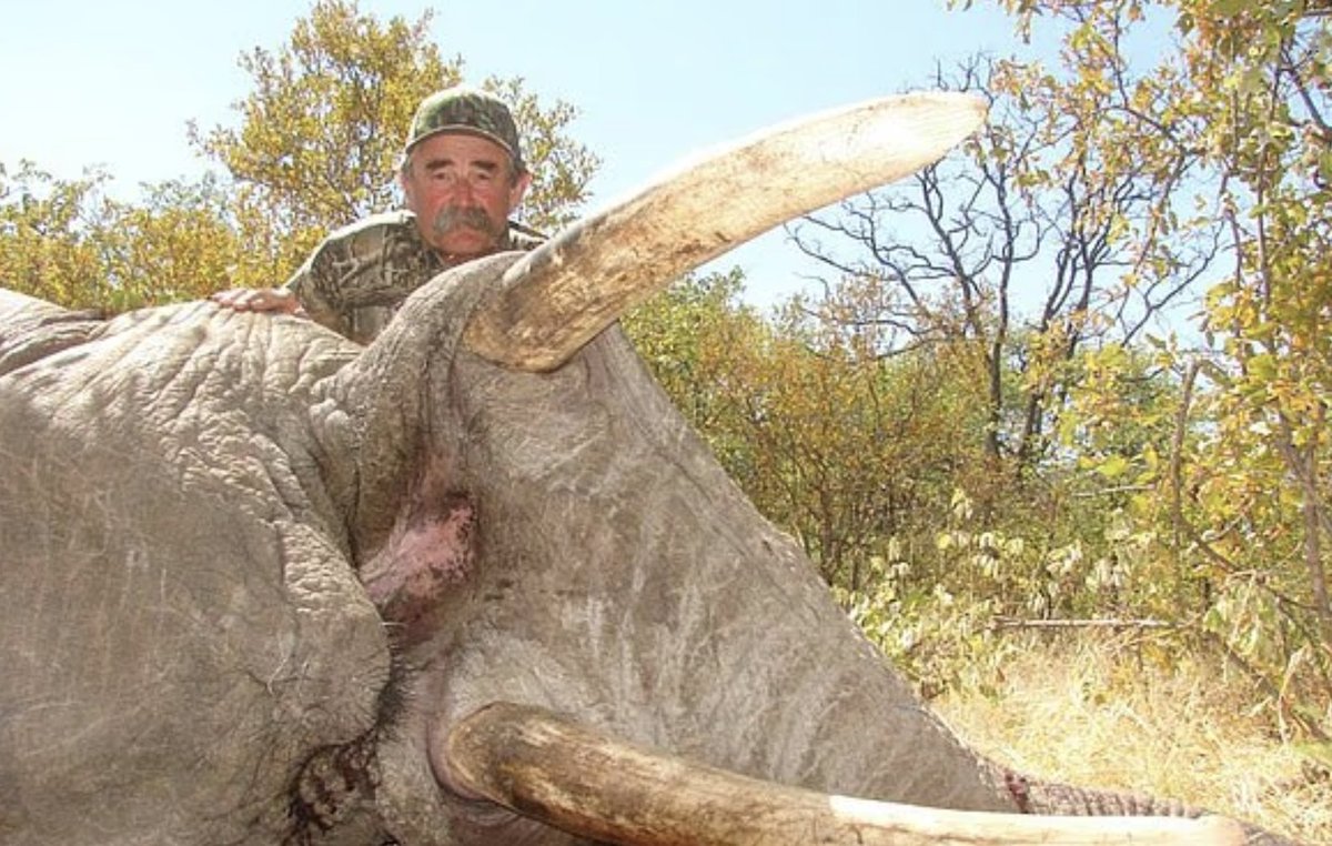 𝕸𝖊́𝖈𝖍𝖆𝖓𝖙𝖊 𝖋𝖎𝖑𝖑𝖊ⵣ🇩🇿🇫🇷🇨🇭🏳️‍🌈 tweet media