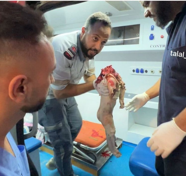 كمال حسين شرف الدين tweet media