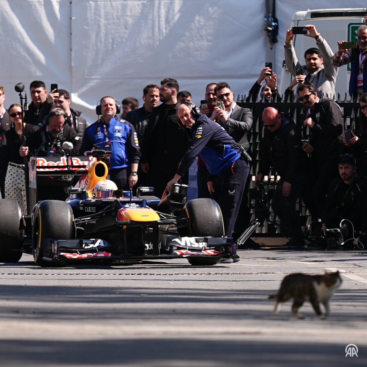 Mahir 🇹🇷🇬🇧 tweet media