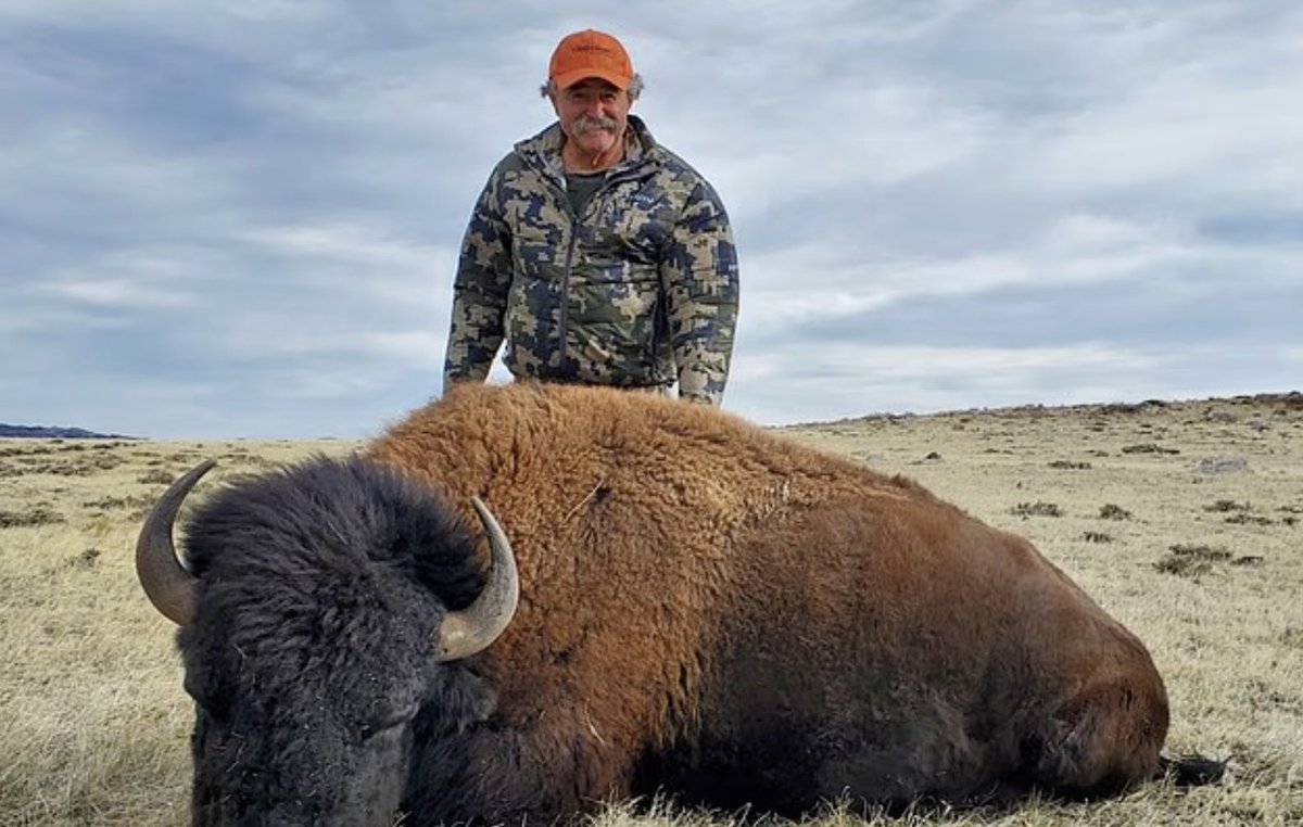 𝕸𝖊́𝖈𝖍𝖆𝖓𝖙𝖊 𝖋𝖎𝖑𝖑𝖊ⵣ🇩🇿🇫🇷🇨🇭🏳️‍🌈 tweet media